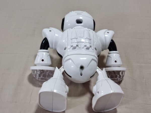 Robô adaptado
