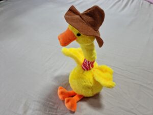 Pato duas funções - Brinquedo adaptado