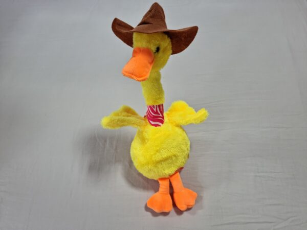 Pato duas funções